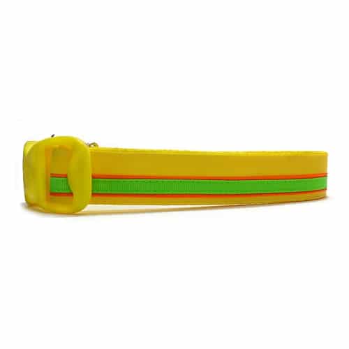 The Citrus Zest Stripe Dog Collar 7 The Citrus Zest Stripe Dog Collar - 00000000 1fa3 da66