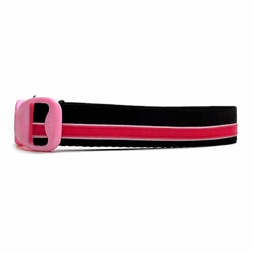 The Downtown Diva Stripe Dog Collar 11 The Downtown Diva Stripe Dog Collar - 00000000 24c0 79cc