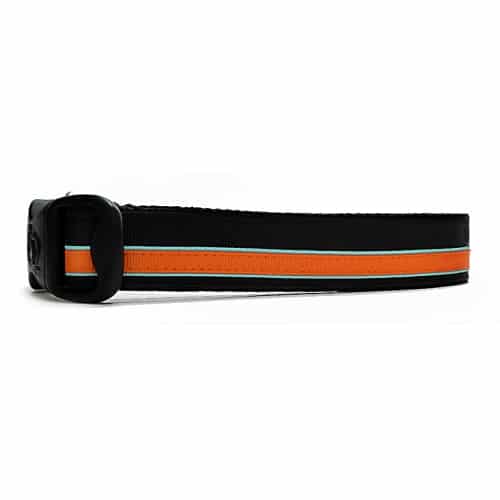 The Midtown Mutt Stripe Dog Collar 19 The Midtown Mutt Stripe Dog Collar - 00000000 441e 07d9