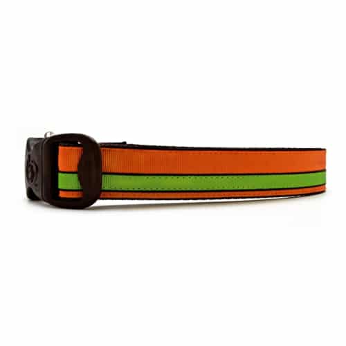 The Autumn Moon Stripe Dog Collar 1 The Autumn Moon Stripe Dog Collar - 00000000 f918 4326