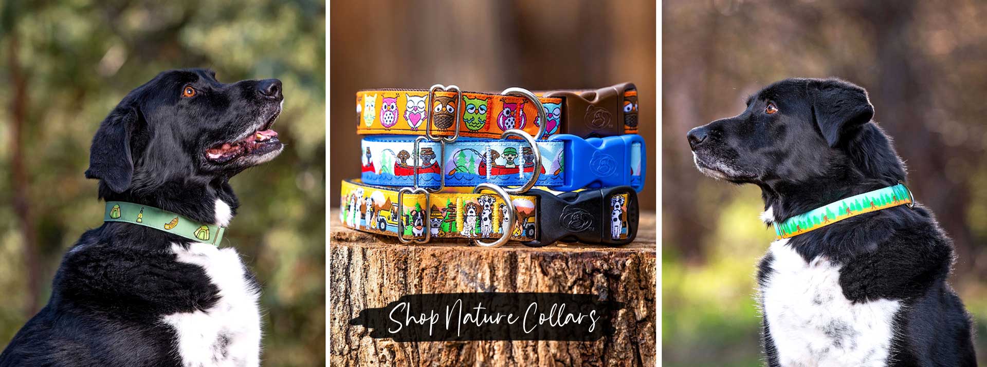 Outdoor Nature Themed Dog Collars